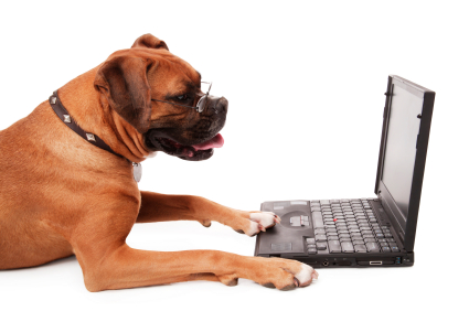 dog-using-laptop.jpg